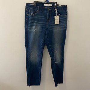 Torrid boyfriend blue jeans